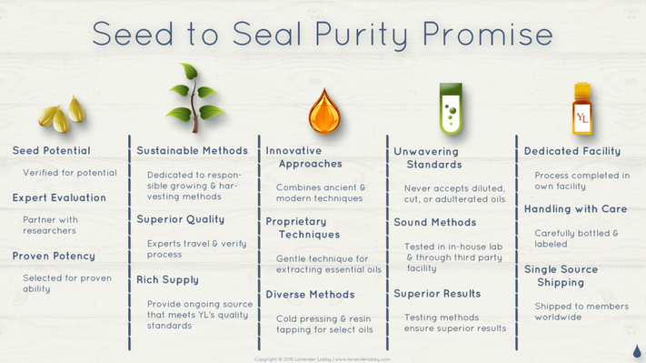 SeedToSEalPUrity and Promise